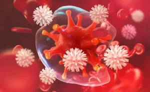 rafforzare il sistema immunitario