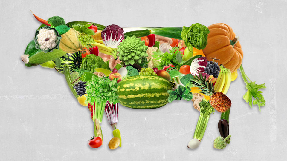 vegetariani carnivori