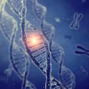 Zinco benefici DNA