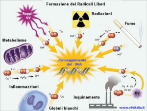 Stress Ossidativo