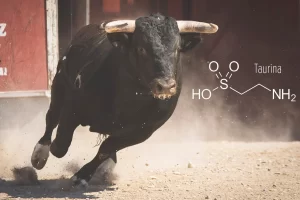 Coral Taurine - Benefici della Taurina
