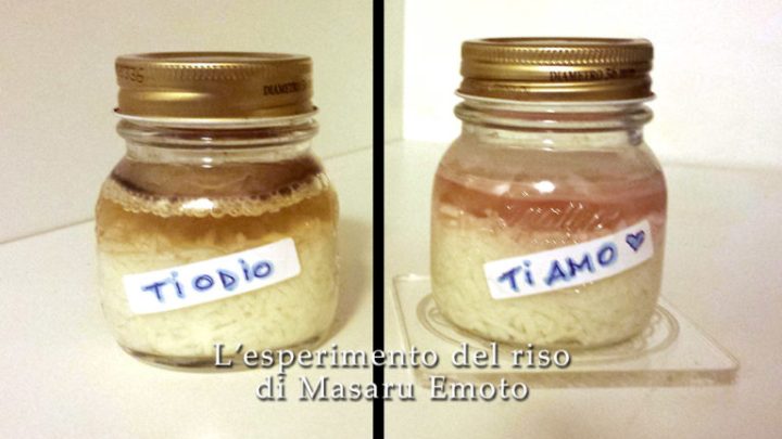 Memoria dell'Acqua