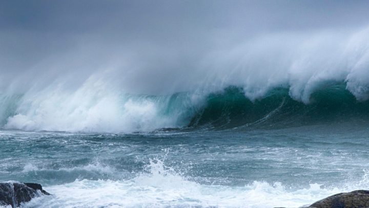 Acqua Viva e Acqua Morta